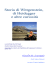 Filosofia del Linguaggio Filosofia del Linguaggio