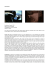 Videodrome - Mediastudies