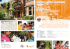 INFO - abbeySCHOOL