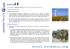 Francia - Operation World Italia