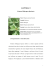 Tesi – Nuove droghe ricreazionali – Il Kratom