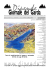 137dip. Sami.p65 - Giornale del Garda