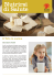 Il Tofu (formaggio di soia)