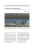 scarica pdf 1 Mb - MUSE