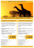 Stampa_Locandina_Safari Sudafrica e mare