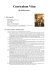 Curriculum Vitae Sig. Didier BODEN - IRJS