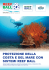 protezione della costa e del mare con sistemi reef ball