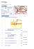 itinerario, percorsi stradali, cartina percorso, itinerari stradali