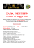 Locandina - westernclubct.com
