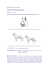 Scarica Standard 347 in PDF - Pastore Svizzero Bianco Club Italia