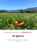 Un giorno - VareseNews