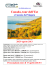 Canada, tour dell`Est