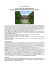 comunicato stampa - Travel Marketing 2