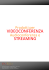 videoconferenza streaming