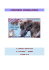 CONCORSO ANIMALANDIA classe IV B