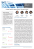 Asset Allocation Insights