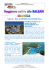 8 giorni - DAL 29 GIUGNO AL 6 LUGLIO 2014