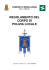 regolamento del corpo di polizia locale