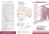 programma - simferweb.net