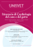 Itinerario di Cardiologia del cane e del gatto