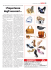 L`importanza degli accessori