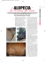 alopecia - Stefano Morini