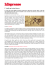 l`articolo in formato pdf
