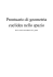 Geometria solida - Home page di Giampiero Meneghin