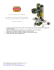 Fresatrice Proxxon FF 500 CNC Precisione e accuratezza nella