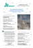 escursioni guidate con racchette da neve inverno 2012-2013
