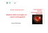 (Microsoft PowerPoint - Bozzato [modalit\340 compatibilit\340])