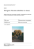fare amicizia in rete