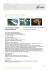 katathani phuket beach resort