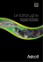 Le tartarughe