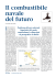 Il combustibile navale del futuro