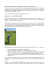 LE REGOLE DEL GOLF - REGOLE 16