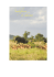 Itinerario dettagliato - Sudafrica in charme