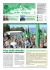 Visualizza PDF