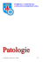 Cenni di patologie - Humanitas Firenze