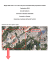 Mappa delle aule