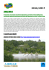 Manaus e Amazzonia