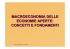 Economia aperta
