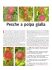Pesche a polpa gialla