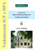 citta` di spinea