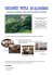 VACANZE, ARTI MARZIALI, FITNESS E RELAX IN