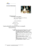 Curriculum Vitae Europass