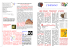 l` indiano - Cooperativa Sociale Trieste Integrazione
