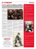 Il #PdF contro il trollismo cattolico