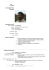 Curriculum Vitae Europass