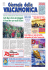 GdV n.15 del 2010 - giornale valcamonica